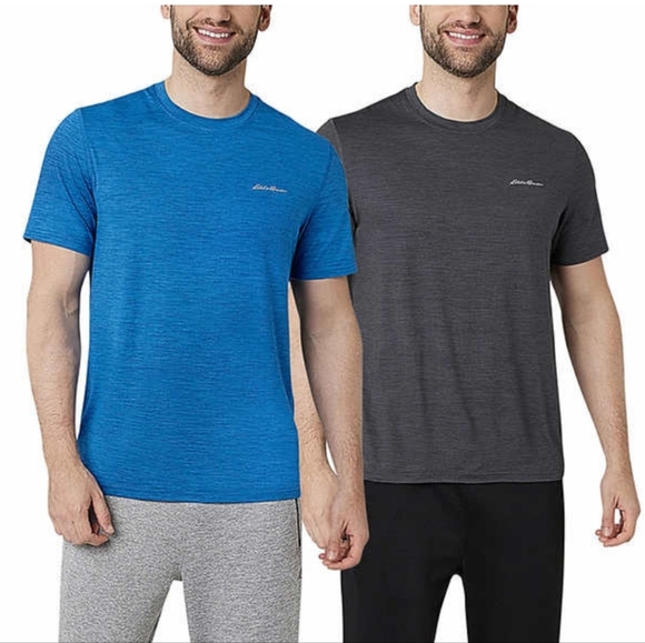 Eddie Bauer Men’s Motion Tee, 2-pack Blue/Gray. 4A - Picture 1 of 5